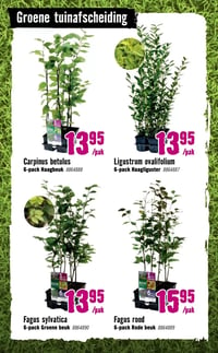 Fagus rood aanbieding bij Hornbach – geldig van 09.03.2026 t/m 05.04.2026