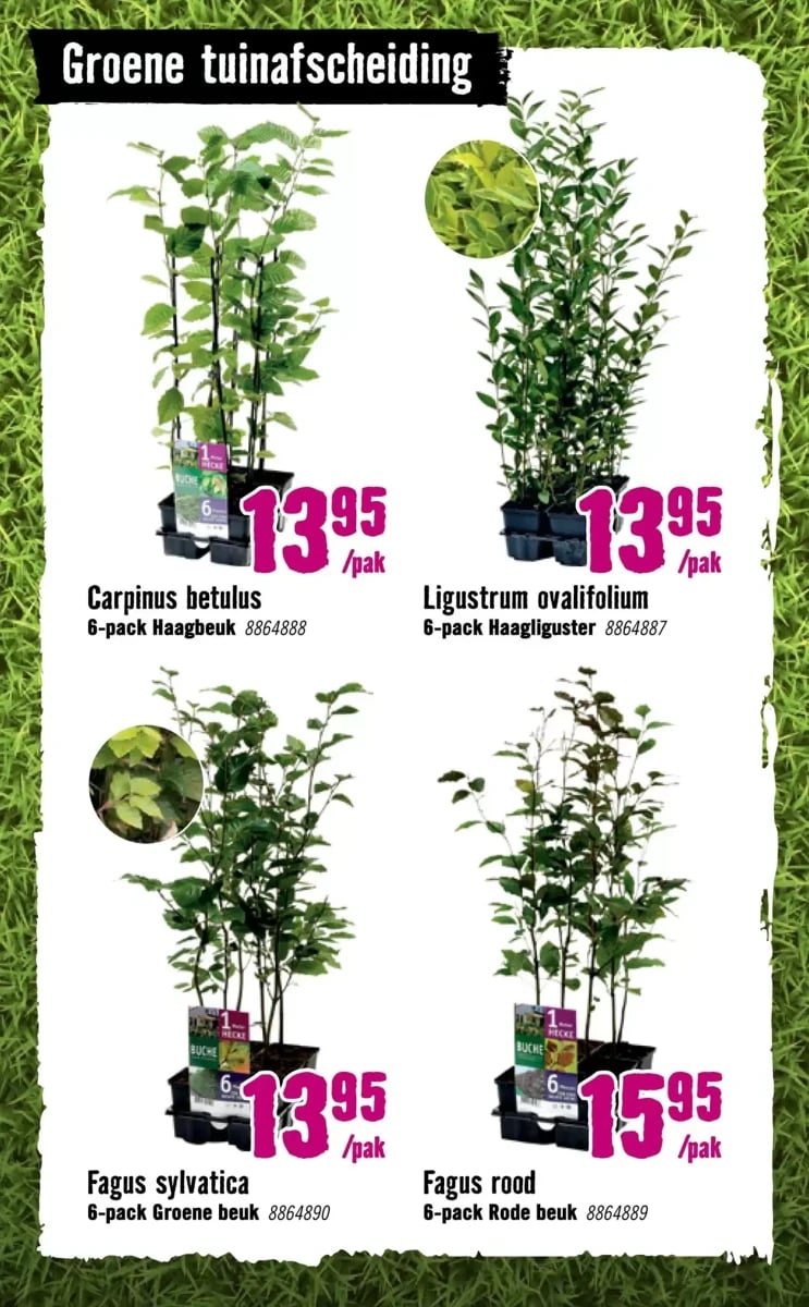 Hornbach folder – pagina 37
