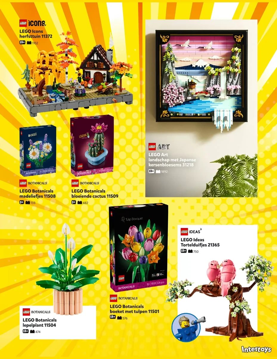 Intertoys folder – pagina 21