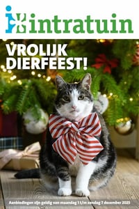 Intratuin Folder – 01.12.2025 – 07.12.2025