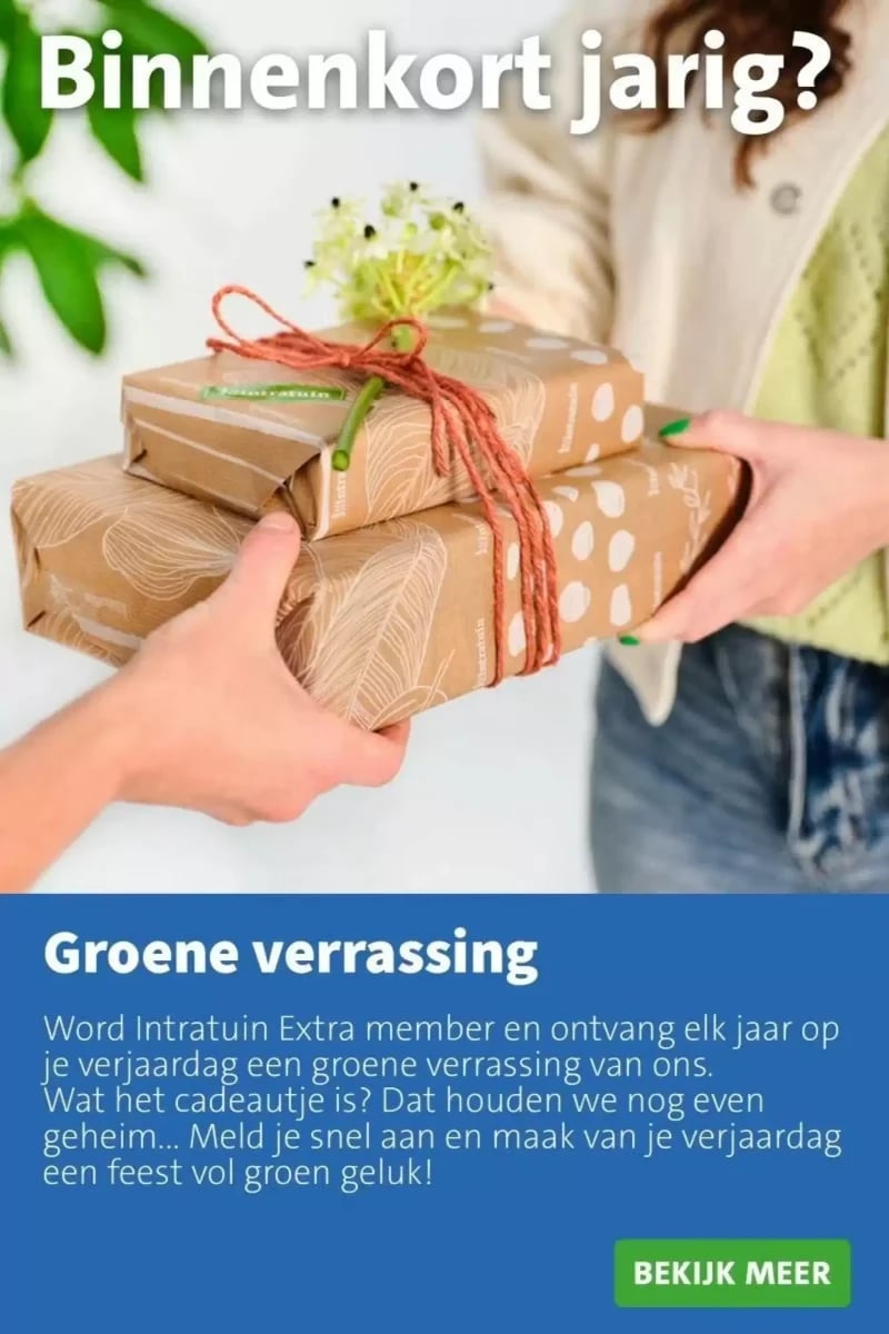 Intratuin folder – pagina 14