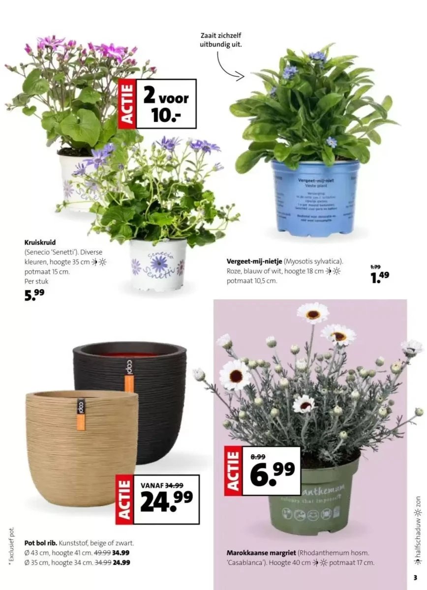 Intratuin folder – pagina 3