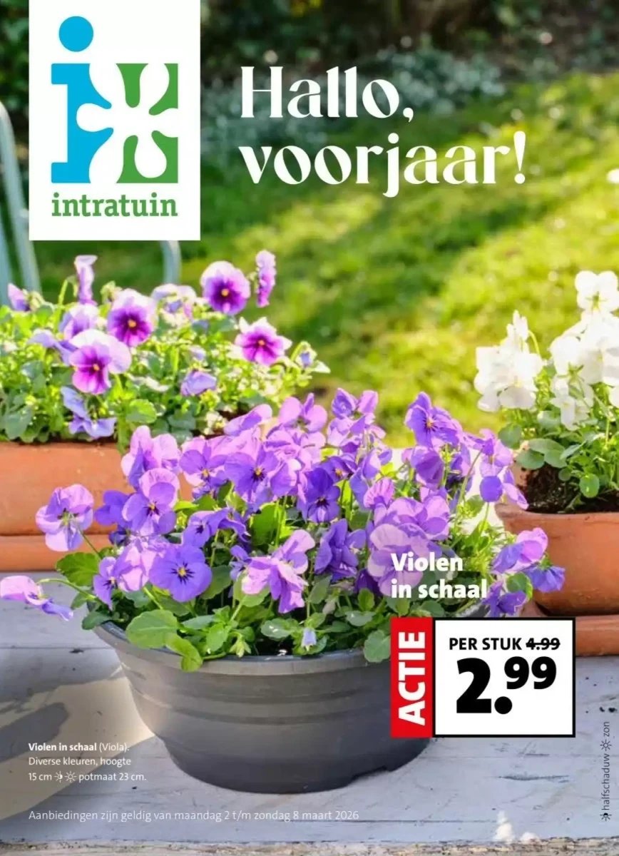 Intratuin folder – pagina 1