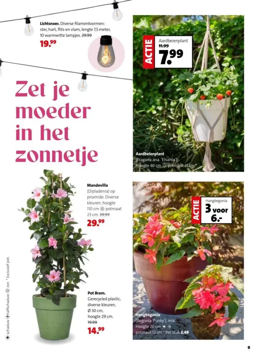 Intratuin folder – pagina 9