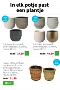 Pot Avion aanbieding bij Intratuin – geldig van 05.01.2026 t/m 11.01.2026