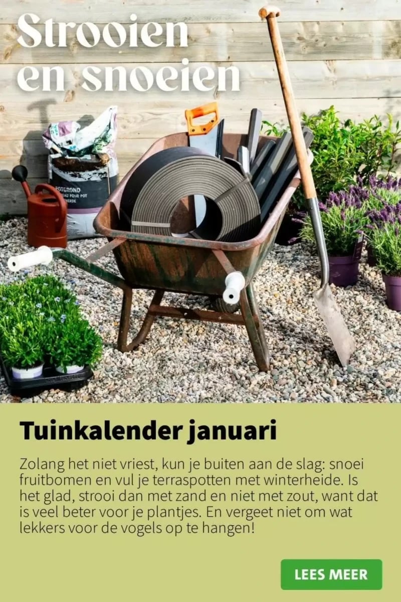 Intratuin folder – pagina 9
