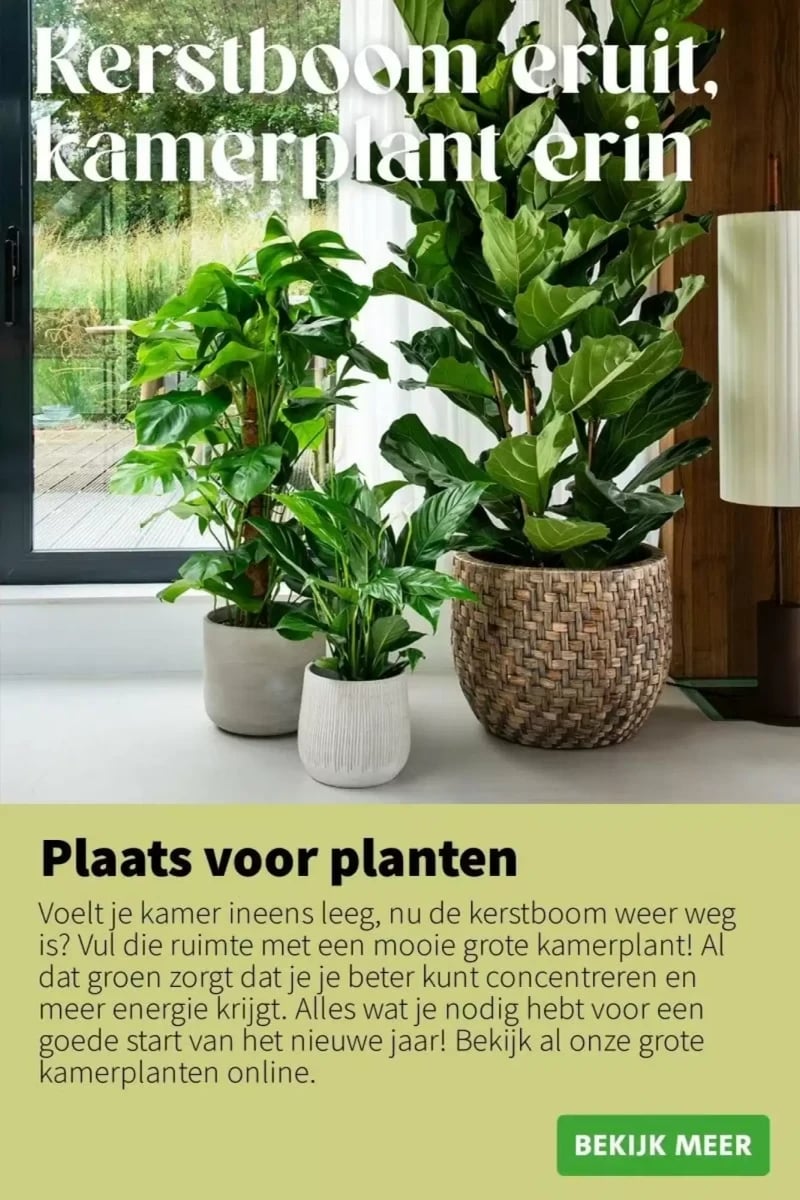 Intratuin folder – pagina 6