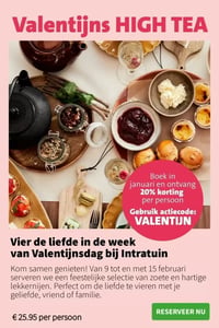 Valentijns HIGH TEA aanbieding bij Intratuin – geldig van 09.02.2026 t/m 15.02.2026