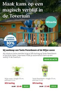 Wijze varen. Hoogte 30 cm, potmaat 12 cm. aanbieding bij Intratuin – geldig van 06.04.2026 t/m 12.04.2026