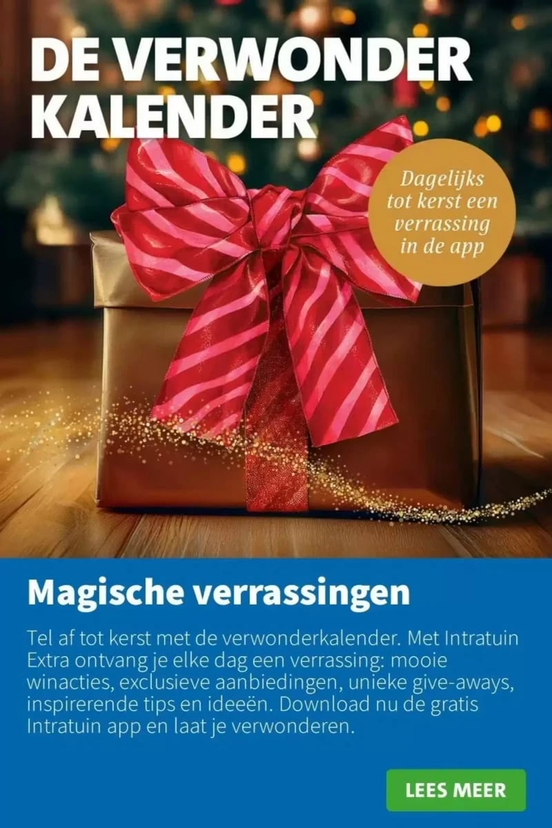Intratuin folder – pagina 6