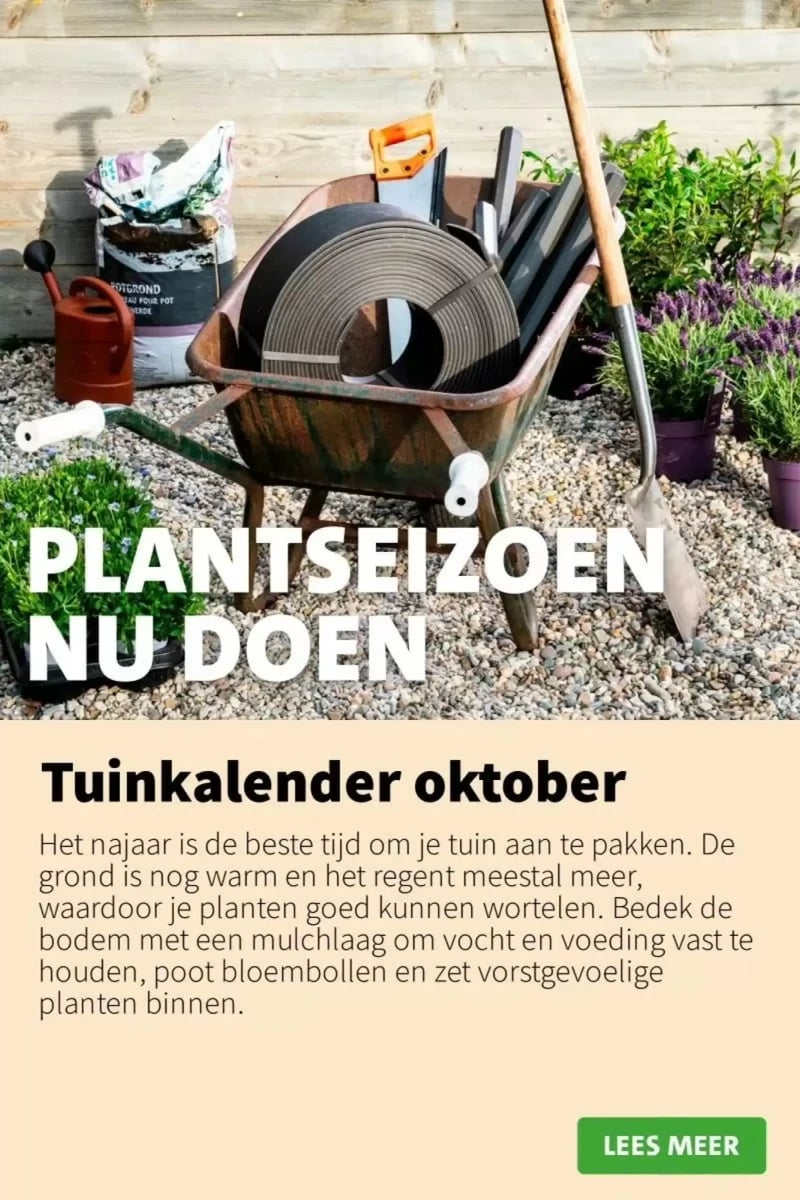 Intratuin folder – pagina 12