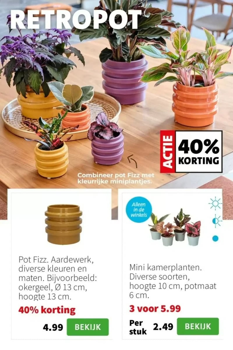 Intratuin folder – pagina 5