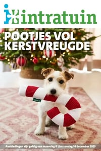 Intratuin Folder – 08.12.2025 – 14.12.2025