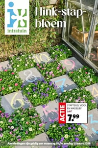 Intratuin Folder – 09.03.2026 – 15.03.2026