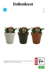 Arrangement Bloom Bucket. aanbieding bij Intratuin – geldig van 09.03.2026 t/m 15.03.2026