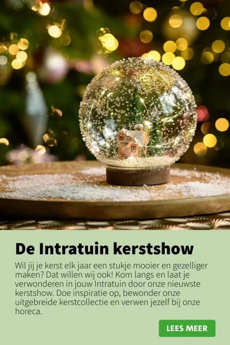 Intratuin folder – pagina 38