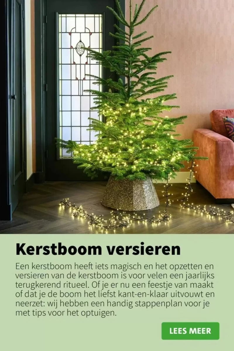 Intratuin folder – pagina 28
