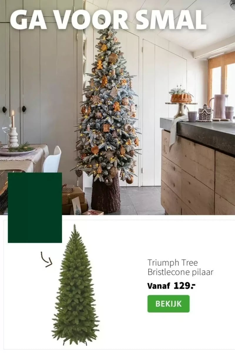 Intratuin folder – pagina 12