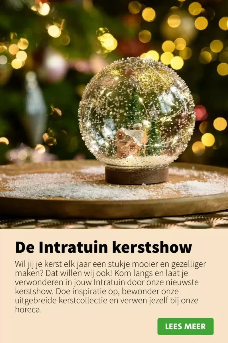 Intratuin folder – pagina 44