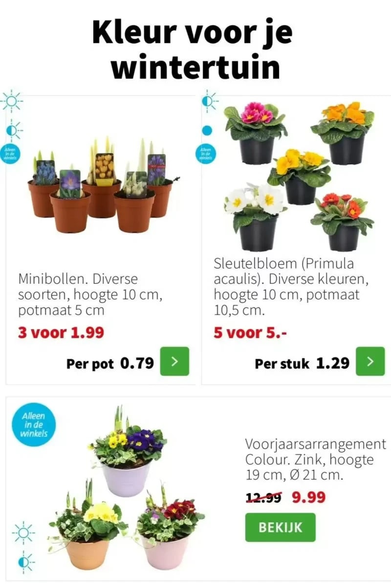 Intratuin folder – pagina 7