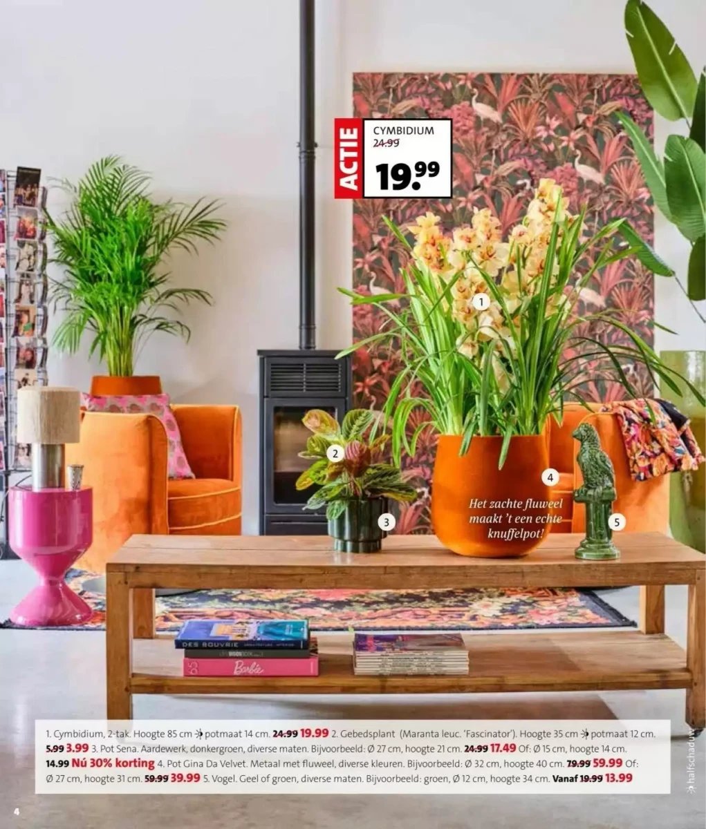 Intratuin folder – pagina 4