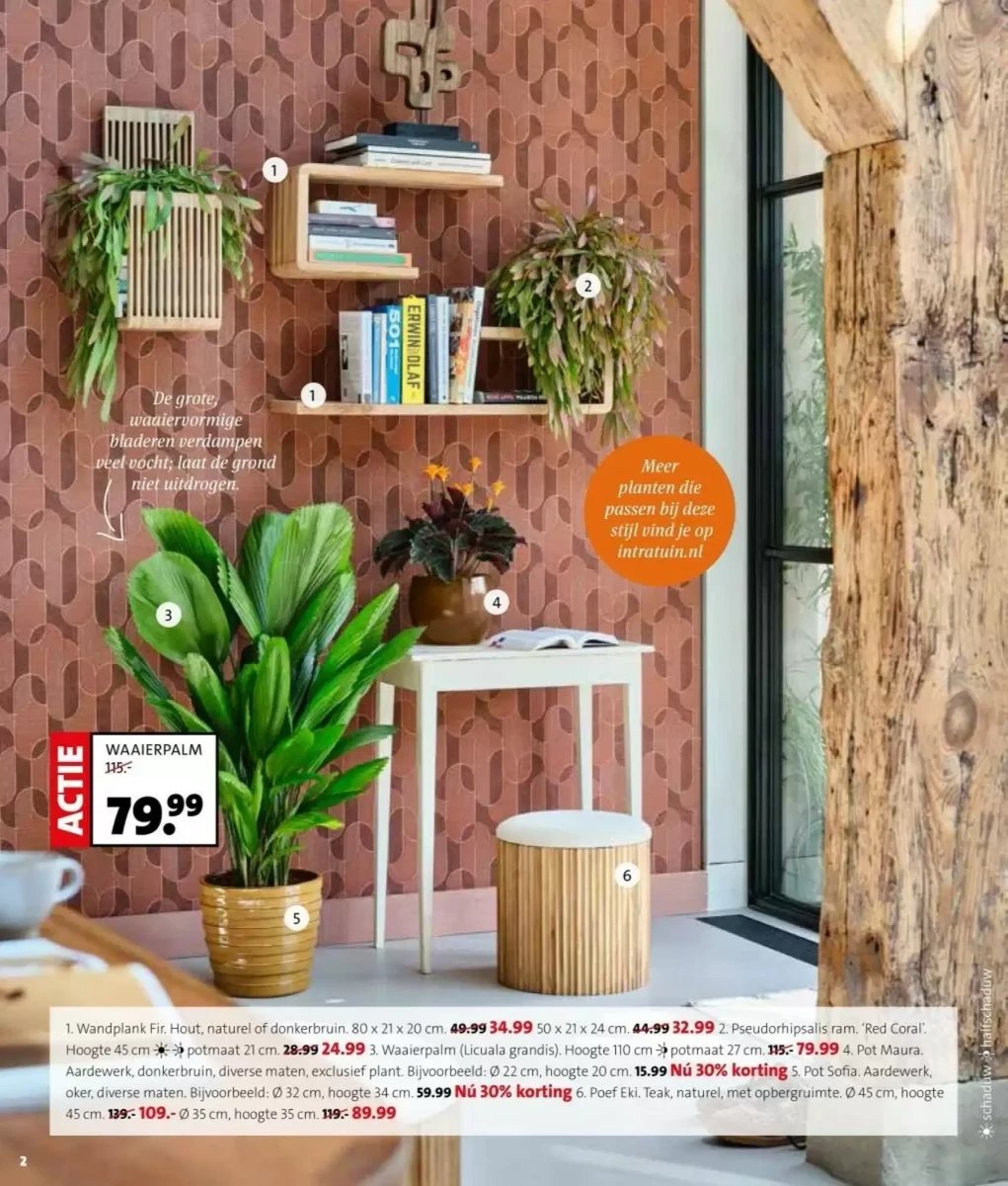 Intratuin folder – pagina 2
