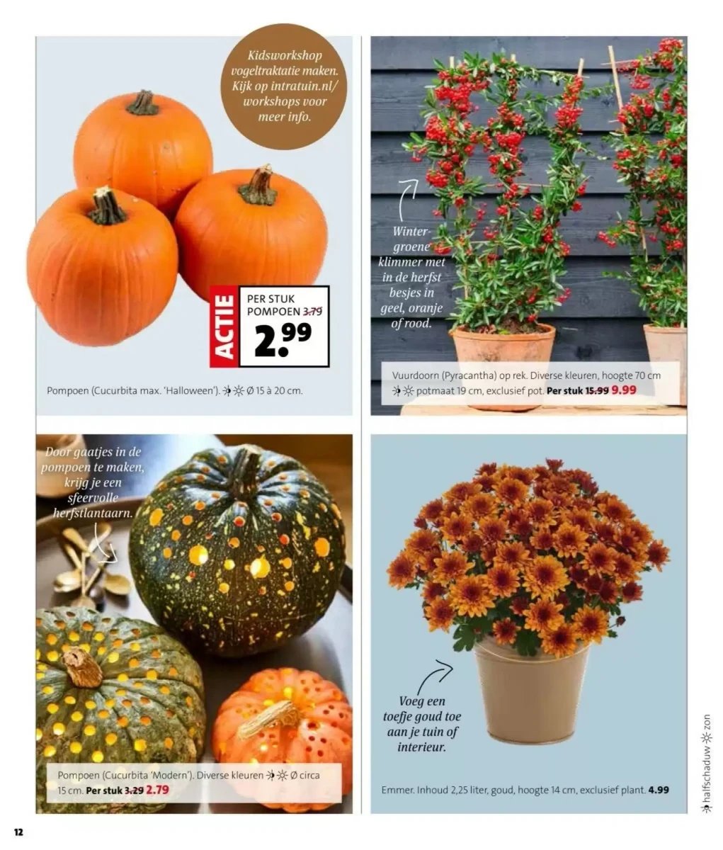 Intratuin folder – pagina 8