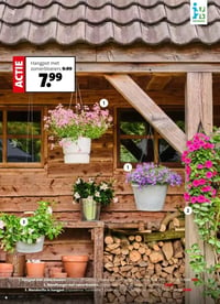 Wandhanger met zomerbloeiers aanbieding bij Intratuin – geldig van 13.04.2026 t/m 19.04.2026