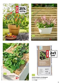 Biologische aardbeienplant (Fragaria). aanbieding bij Intratuin – geldig van 13.04.2026 t/m 19.04.2026