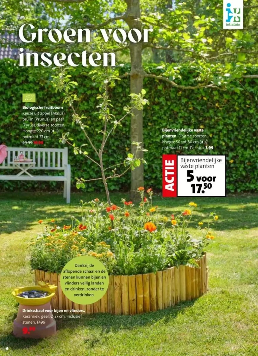 Intratuin folder – pagina 6