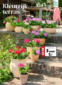 Pot roodsteen. Terracotta, bruin, Ø 10 of 12 cm. aanbieding bij Intratuin – geldig van 13.04.2026 t/m 19.04.2026