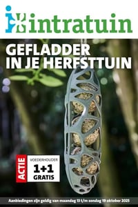 Intratuin Folder – 13.10.2025 – 19.10.2025