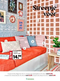 Kussen Lena aanbieding bij Intratuin – geldig van 16.02.2026 t/m 22.02.2026
