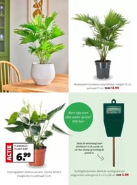 Vochtigheidsmeter. Meet de vochtigheid van potgrond en volle grond, 5 x 3,5 x 28 cm. aanbieding bij Intratuin – geldig van 16.02.2026 t/m 22.02.2026