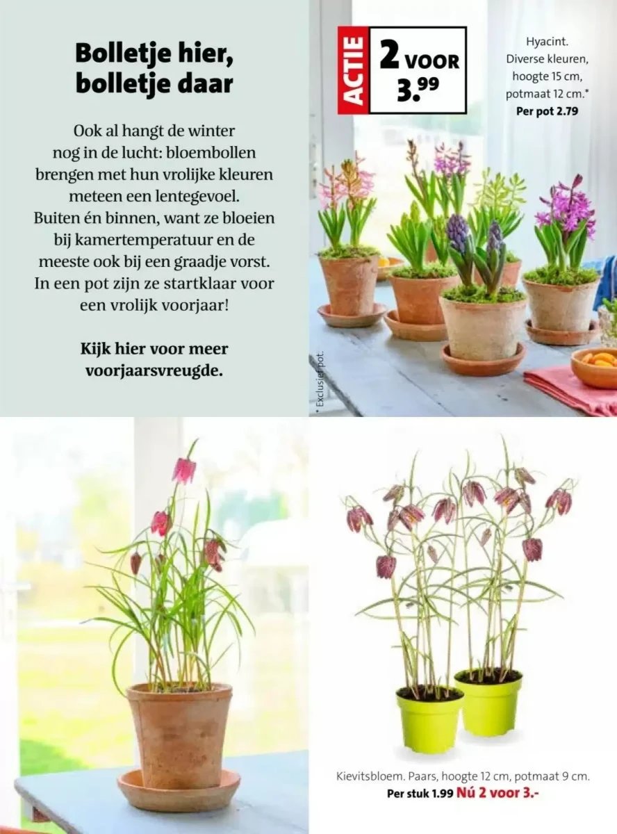 Intratuin folder – pagina 18