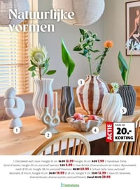 Decobeeld Aart aanbieding bij Intratuin – geldig van 16.02.2026 t/m 22.02.2026