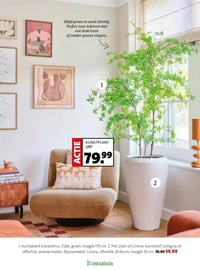 Kunstplant Enkianthus aanbieding bij Intratuin – geldig van 16.02.2026 t/m 22.02.2026