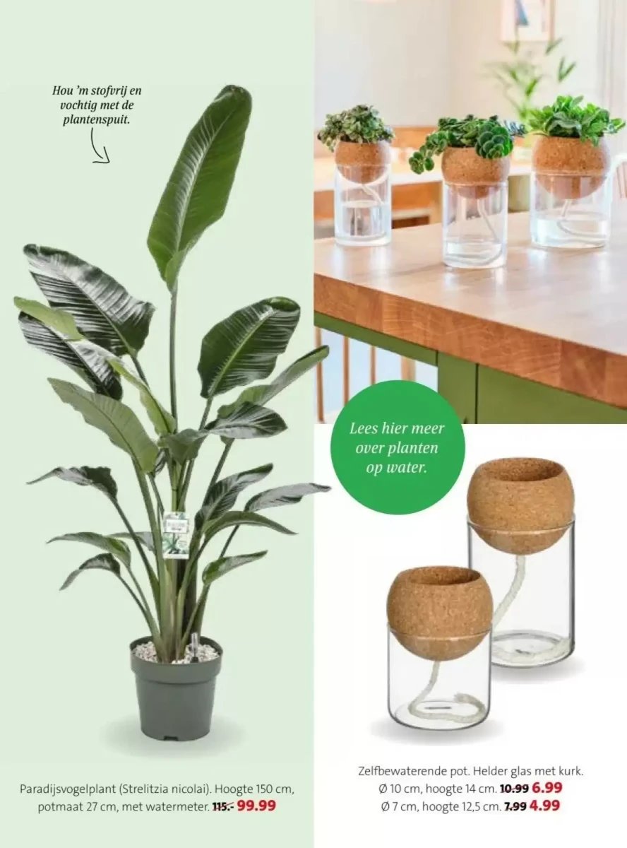 Intratuin folder – pagina 27
