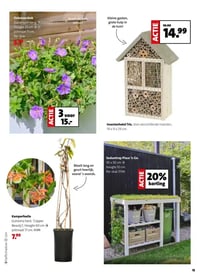 Kamperfoelie (Lonicera heck. 'Copper Beauty') aanbieding bij Intratuin – geldig van 16.03.2026 t/m 22.03.2026