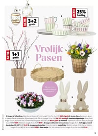 Arrangement viooltjes. aanbieding bij Intratuin – geldig van 16.03.2026 t/m 22.03.2026