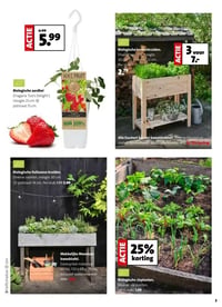 Biologische slaplanten aanbieding bij Intratuin – geldig van 16.03.2026 t/m 22.03.2026