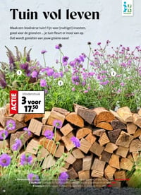 Vlinderstruik aanbieding bij Intratuin – geldig van 16.03.2026 t/m 22.03.2026