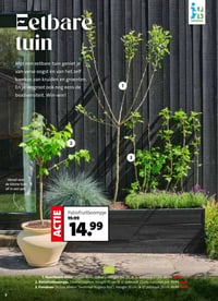 Patiofruitboompje aanbieding bij Intratuin – geldig van 16.03.2026 t/m 22.03.2026