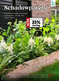 Sneeuwbalhortensia aanbieding bij Intratuin – geldig van 16.03.2026 t/m 22.03.2026