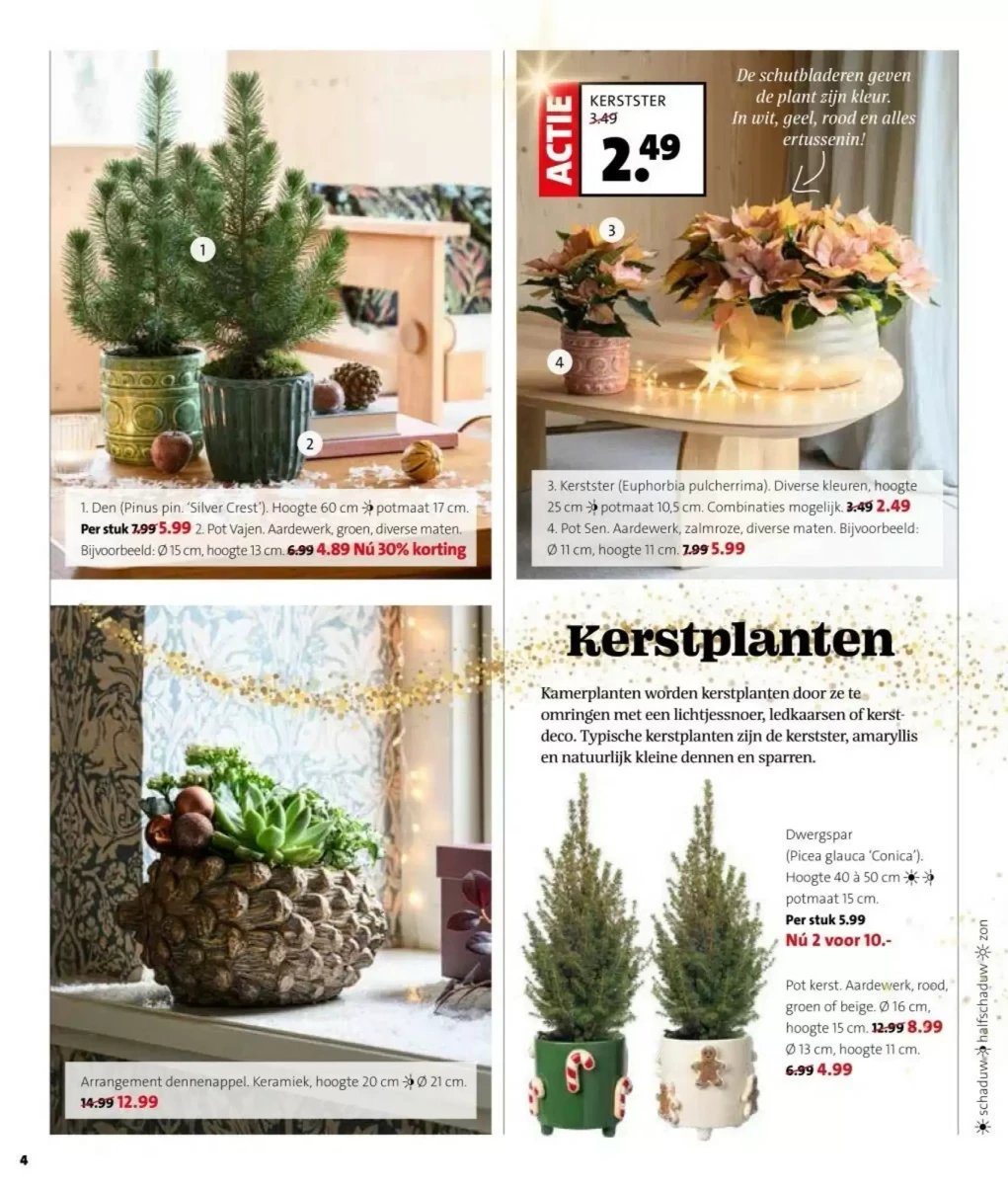 Intratuin folder – pagina 4