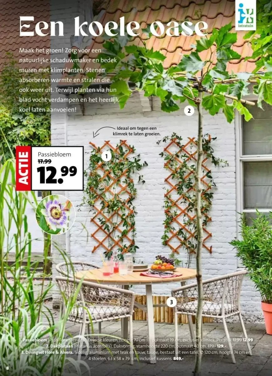 Intratuin folder – pagina 8