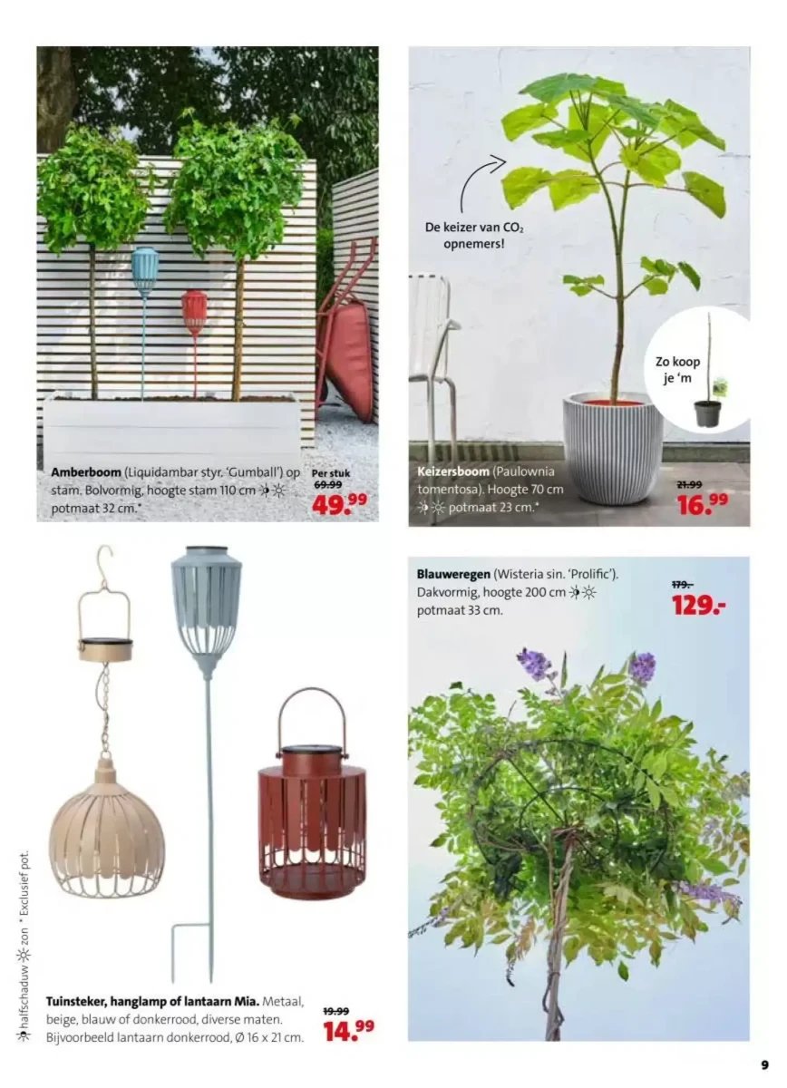 Intratuin folder – pagina 9