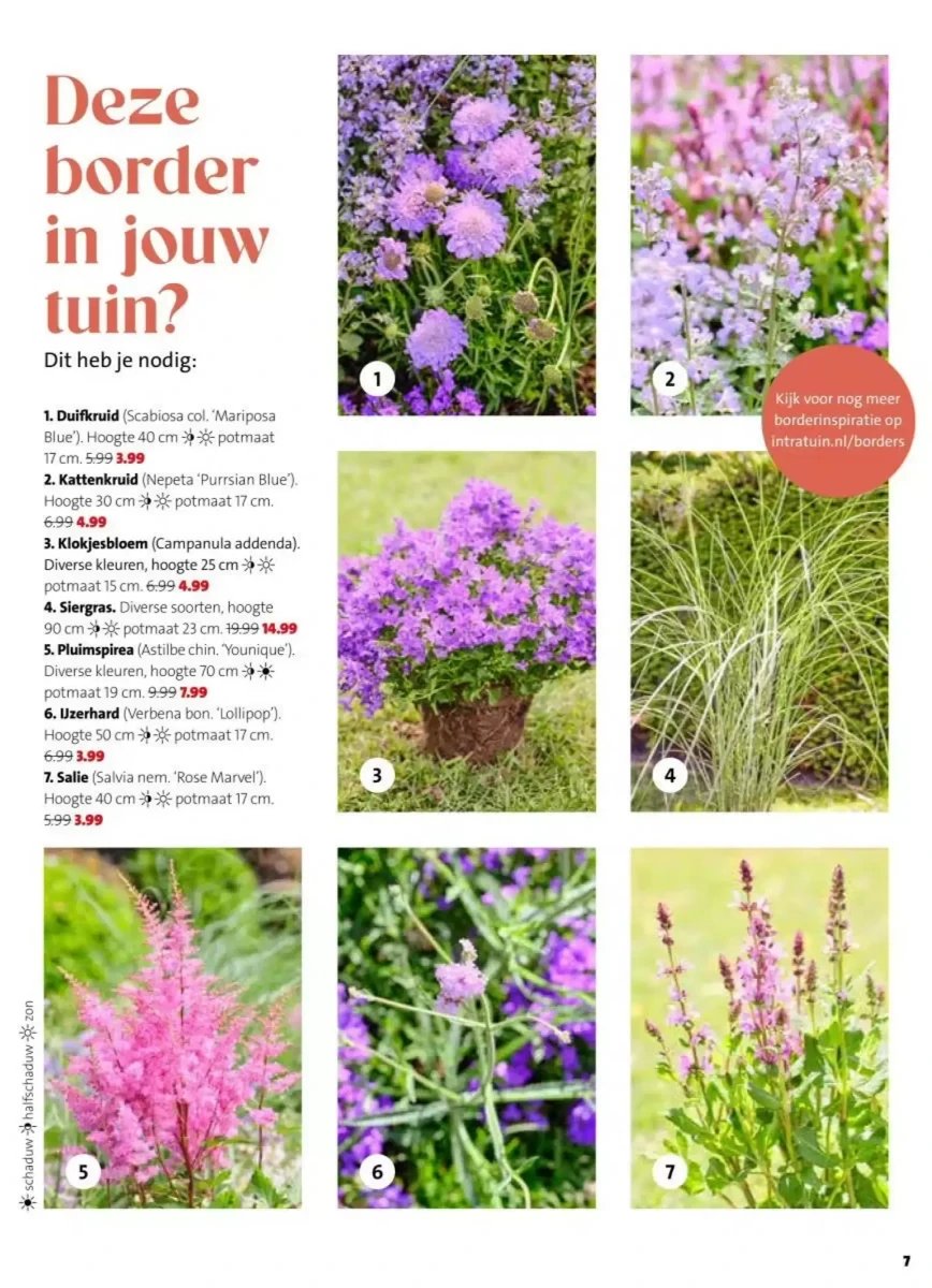 Intratuin folder – pagina 7