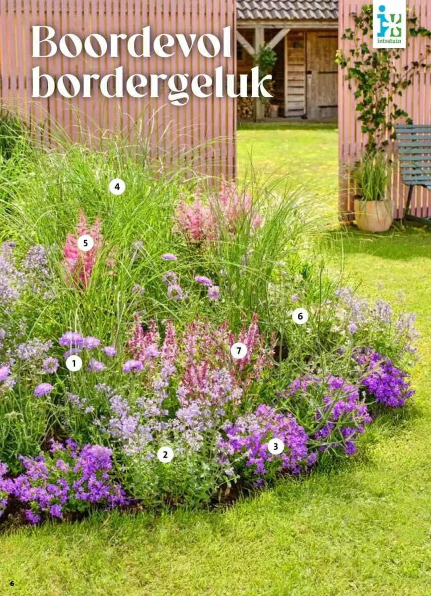 Intratuin folder – pagina 6