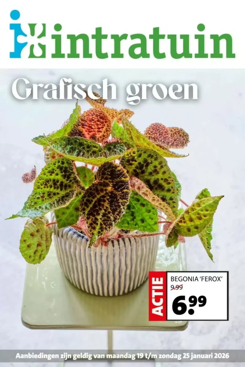Intratuin folder – pagina 1